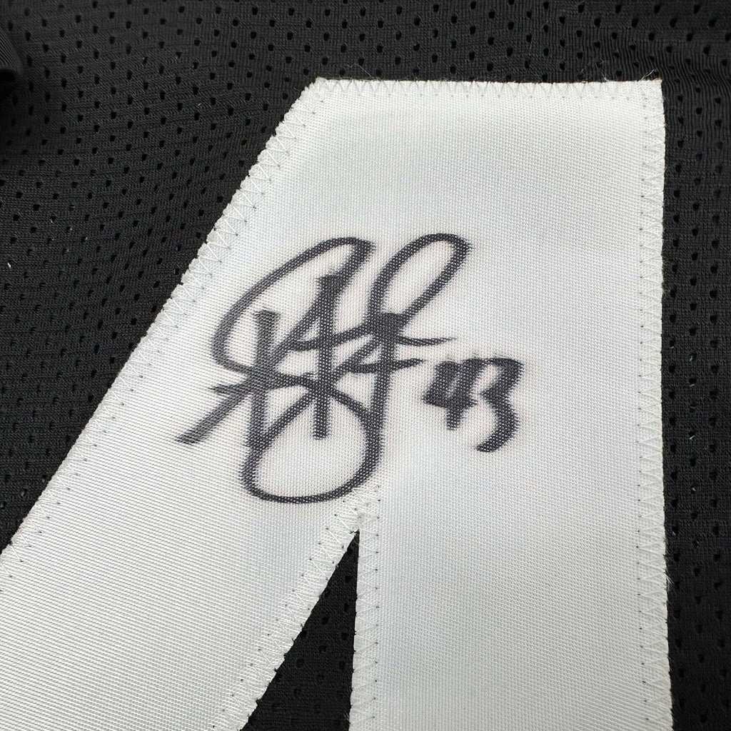 Framed Autographed/Signed Troy Polamalu 35x39 Pittsburgh Retro Black Football Jersey JSA COA
